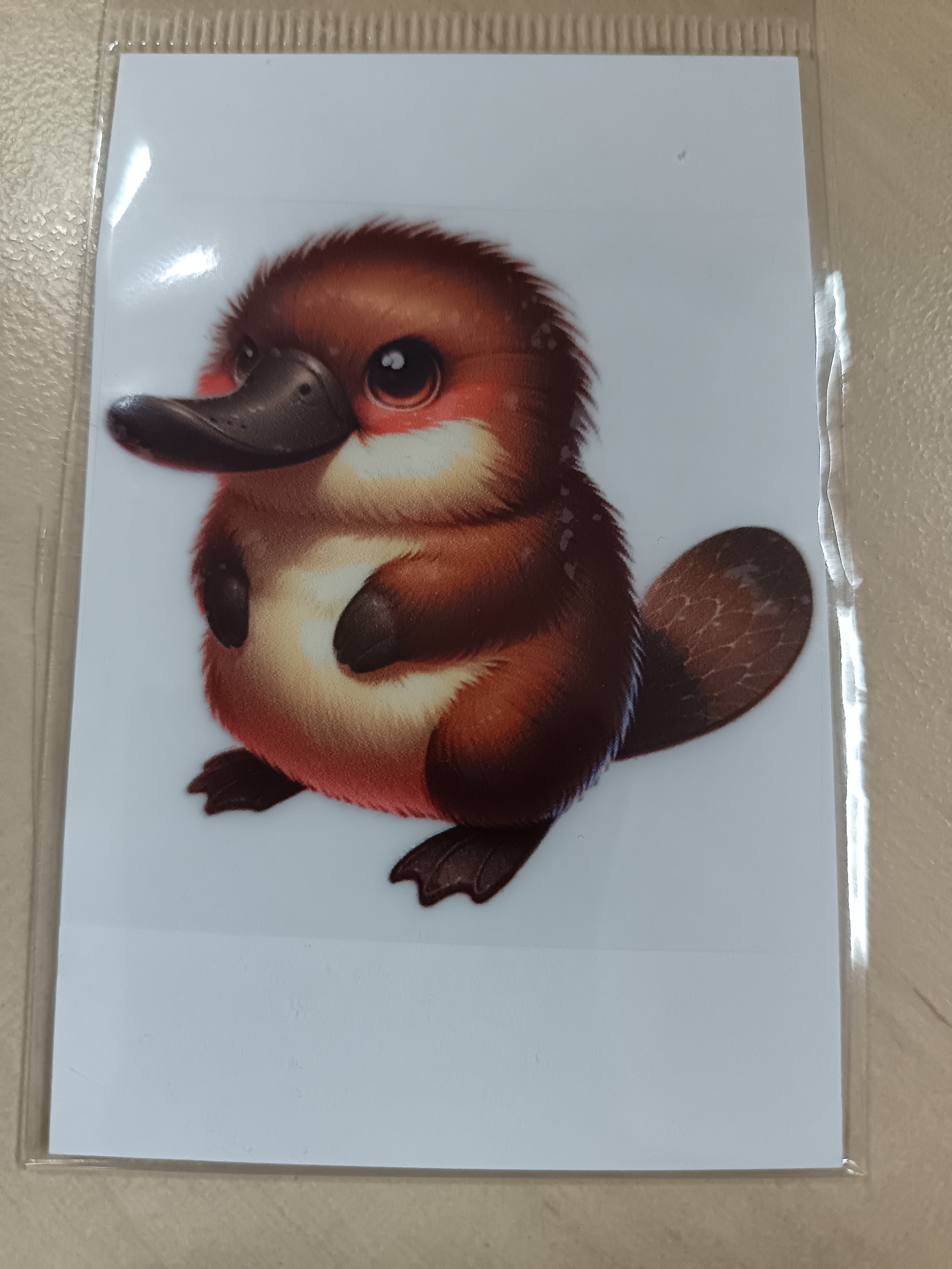 Aplikace nažehlovací Ptakopysk