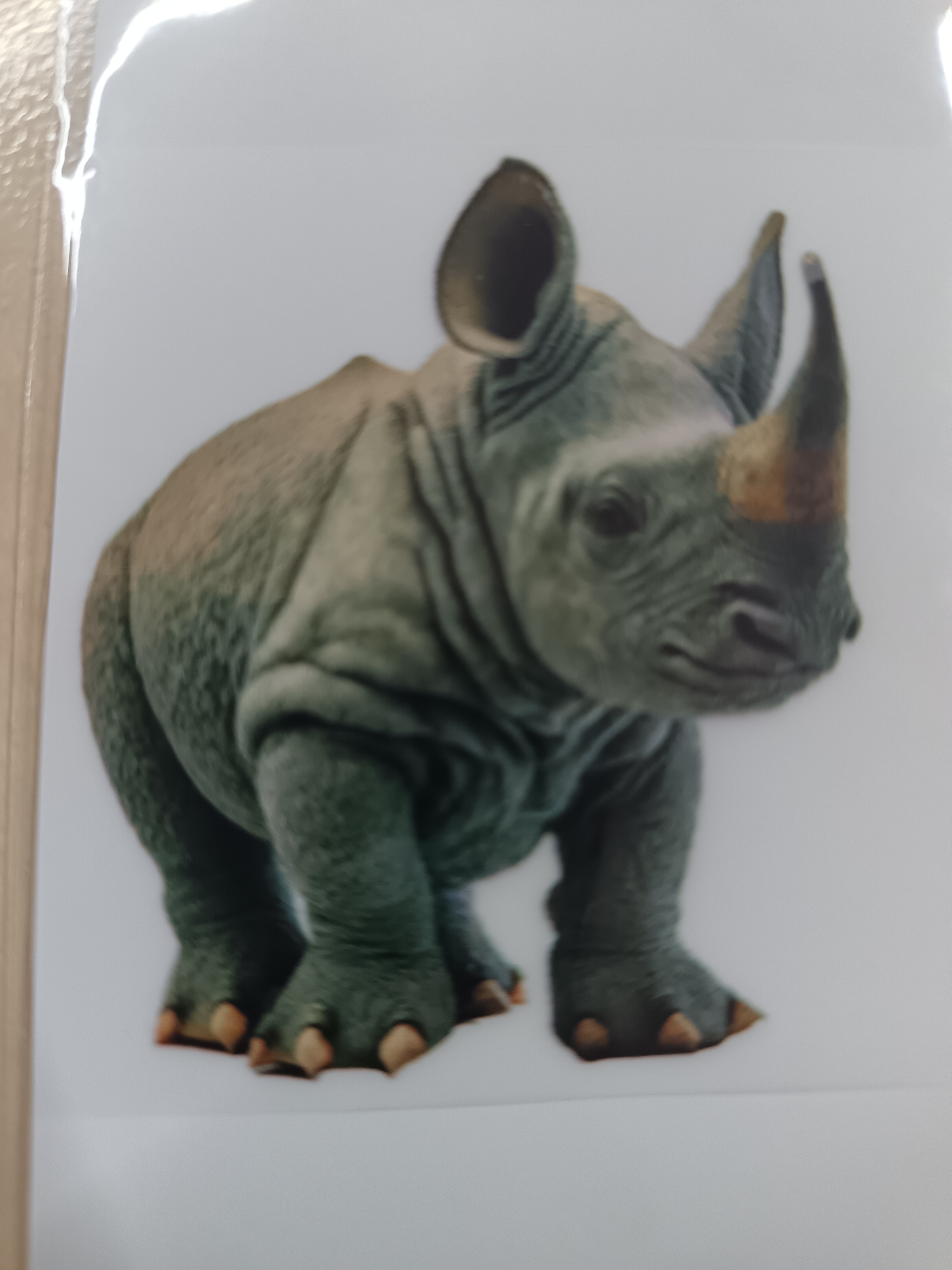 Aplikace nažehlovací Nosorožec