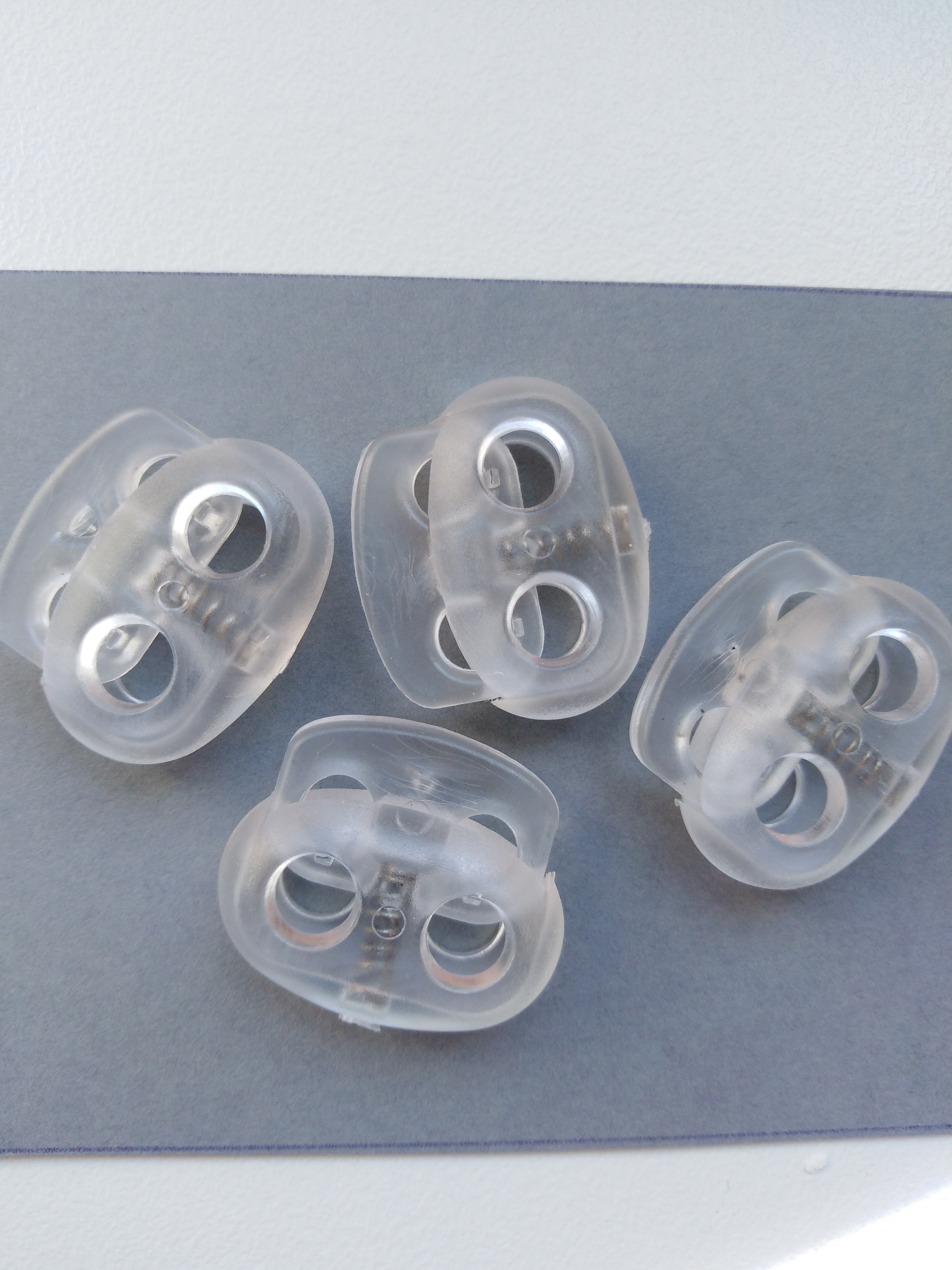 Brzdička dvoušňůrová velká čirá